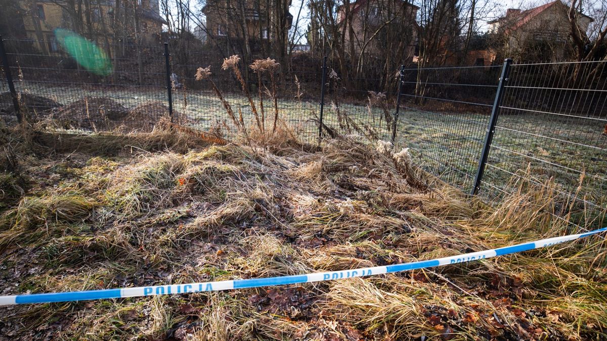 Zabójstwo 11-latki w Jeleniej Górze