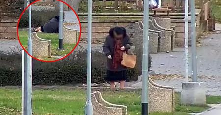 Przewracała się na trawniku. Oko kamery wszystko nagrało
