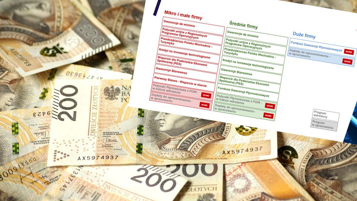 BGK ma dla przedsiębiorców wiele możliwości wsparcia.