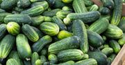 Co się dzieje na rynku ogórków? Ceny poszybowały w górę