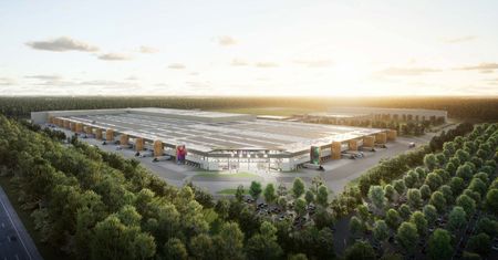 Elon Musk dba o ekologię wycinając 70 hektarów lasów