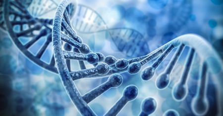 Allele, homozygota i heterozygota a choroby genetyczne
