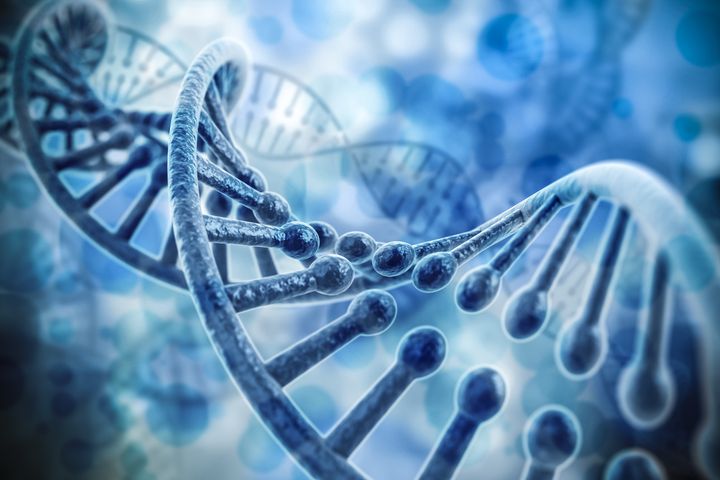 Allele, homozygota i heterozygota to pojęcia z zakresu genetyki.