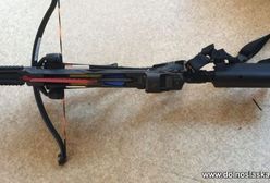 Zgorzelec. Strzelał do psa z kuszy. Grożą mu 3 lata więzienia