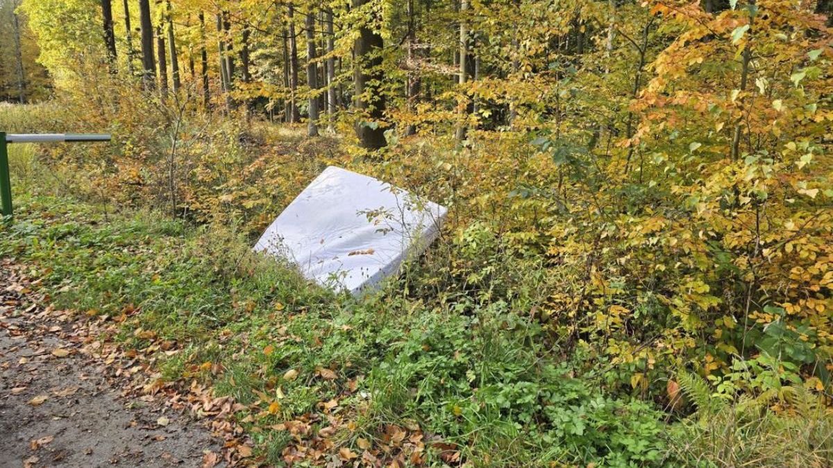 Gabarytowy śmieć w lesie. Podleśniczy bezradny