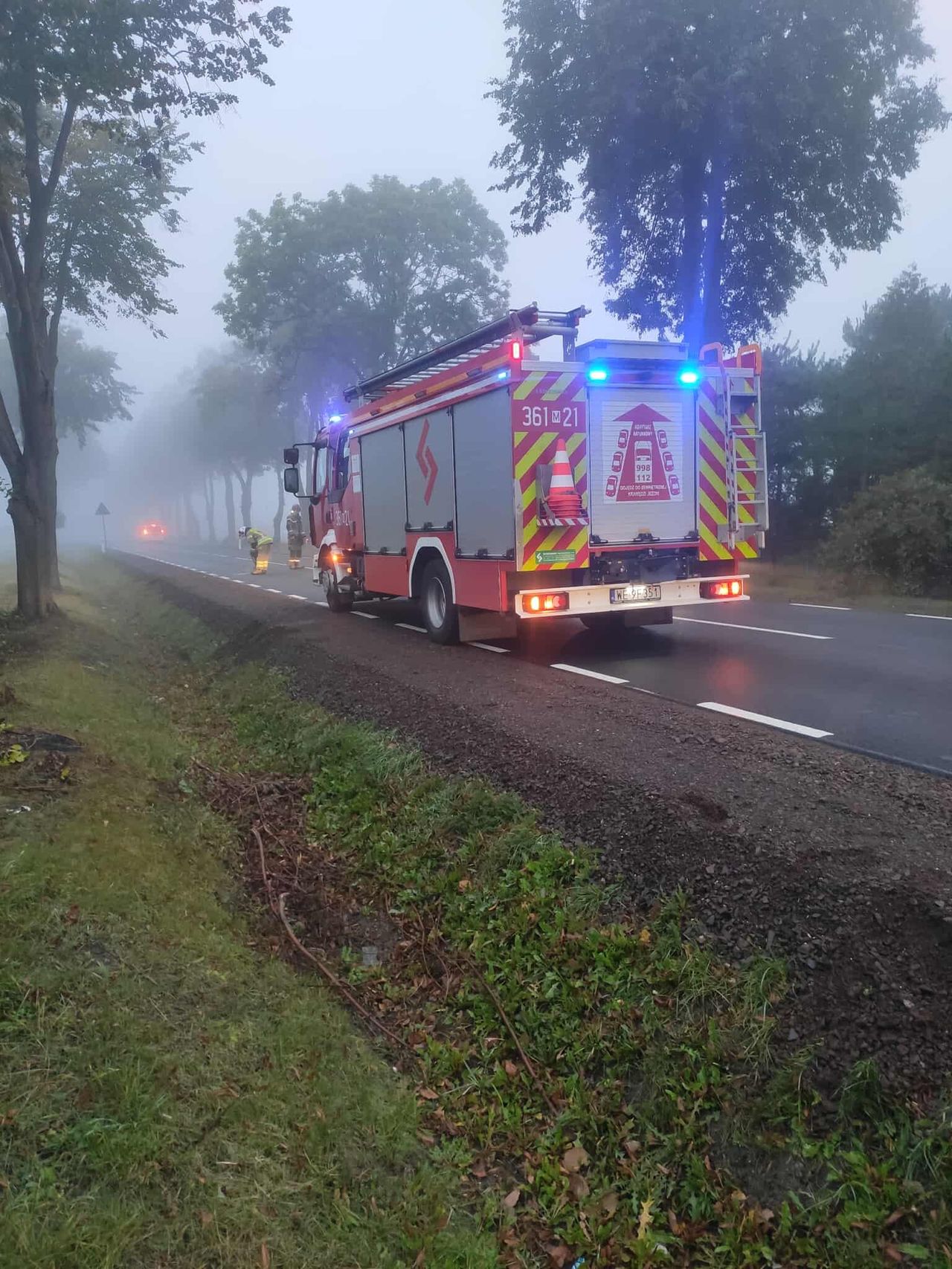 Interwencja druhów