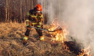 Dolny Śląsk w ogniu. 100 wezwań w ciągu ostatniej doby