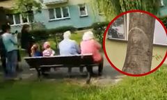 Matka Boska "ukazała się" mieszkańcom Parczewa. "To objawienie"