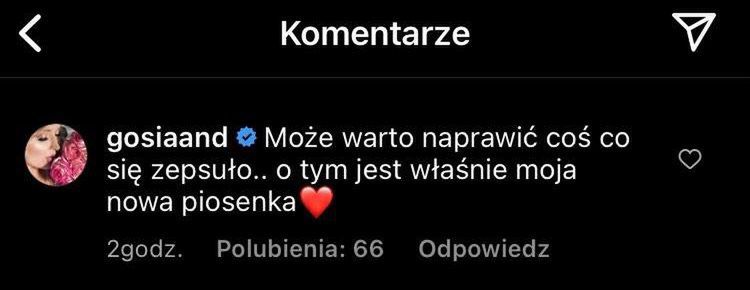 Porada Gosi Andrzejewicz