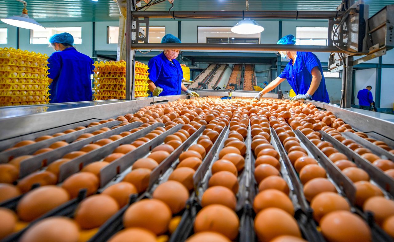 The EC will impose tariffs on egg imports from Ukraine. Illustrative photo