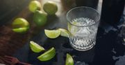 Gin z tonikiem na malarię? Tak zaczęła się historia znanego drinka