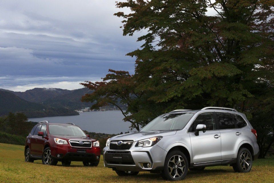 Nowe Subaru Forester (2013) - obszerna galeria zdjęć 53