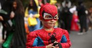 Chcieli być jak Spider-Man. Chłopcy pozwolili ugryźć się czarnej wdowie