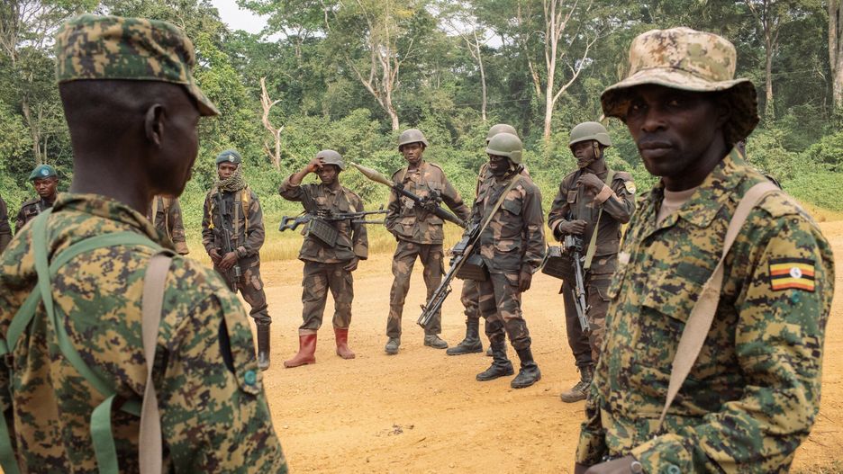 Napady na plantacje kakaowc�w w Kongo
Soldiers from the 214th DP Battalion of the Armed Forces of the DRC (background) and soldiers from the Ugandan People's Defense Forces (UPDF) jointly engaged in Operation Shujaa in the region, on a road between Bulongo and Beni, North Kivu, in the east of the Democratic Republic of Congo, on December 17, 2024. Cocoa, the main economic resource in the DRC's Beni territory, is fuelling the violence in this northern part of North Kivu province, where there are no minerals. For several years, farmers have been the targets of looting and massacres committed by the ADF (Allied Democratic Forces) rebels, who have pledged allegiance to the Islamic State and sell the stolen goods in neighbouring countries. At the end of 2021, Uganda, one of the main cocoa producers on the continent, sent its troops to the region to work alongside the Congolese army against the ADF, an operation that raises questions about Kampala's ambitions for the sector. (Photo by PHIL�MON BARBIER / AFP)
PHILEMON BARBIER