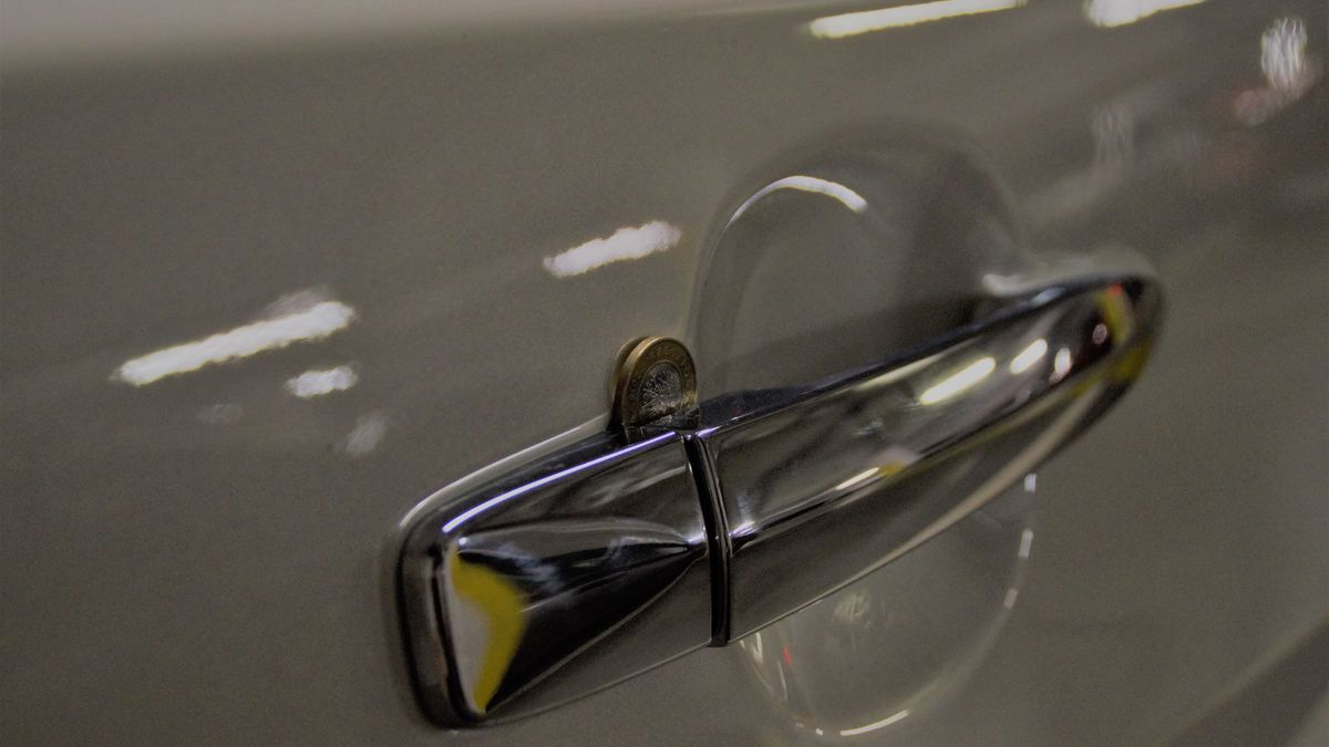 Taki widok powinien wzbudzić naszą czujność - złodziej jest w okolicy