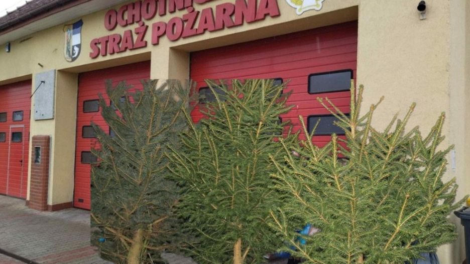 Choinka od Strażaka (lca.pl)