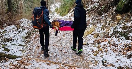 "Skomentuję to krótko". Zdjęcie robi furorę w sieci