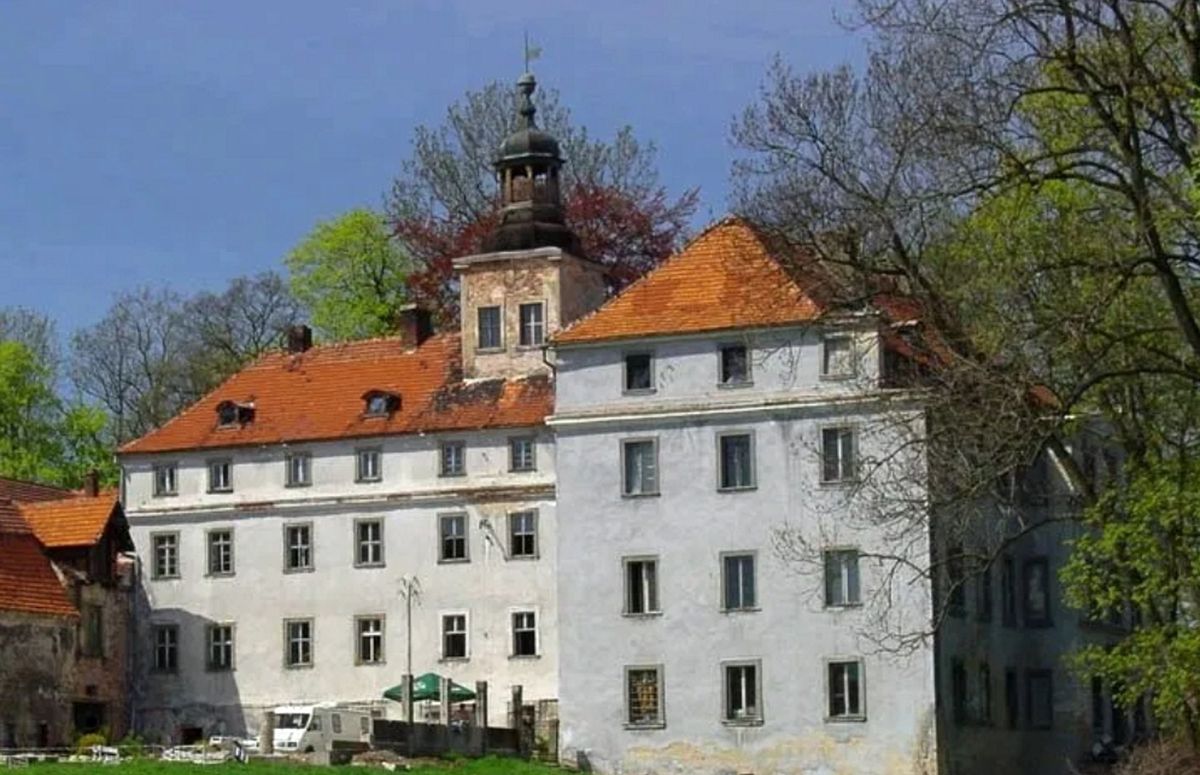 Pałac w Dziwiszowie (fot. otodom.pl)