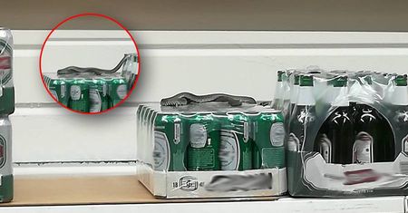 Świdnik. Wąż pełzał po półkach w hipermarkecie Carrefour! [zdjęcia]