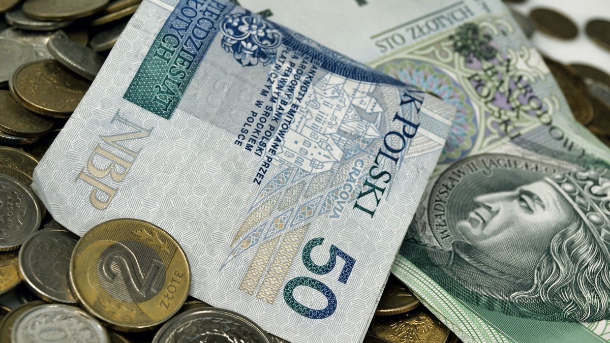 OLYMPUS DIGITAL CAMERA
banknotes, cash, currency, money, notes, pln, polish, zloty, 50, 100