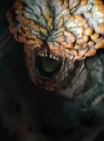 Grzyb z "The Last of Us" to koszmar. Czy zaatakuje człowieka?