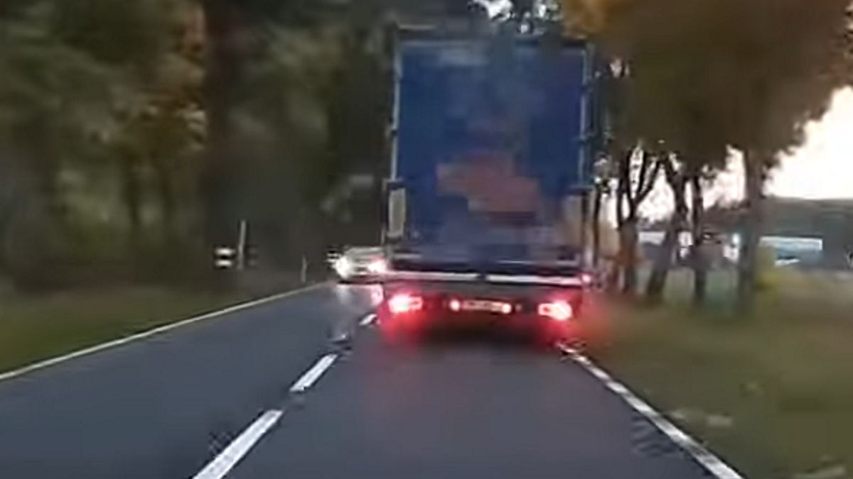 Jeleń nie zdołał przedostać się na drugą stronę drogi