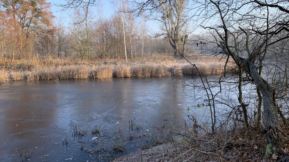 Wrocław. Pogoda. 29 grudnia 2020 - deszczowo o poranku. Uwaga na wiatr