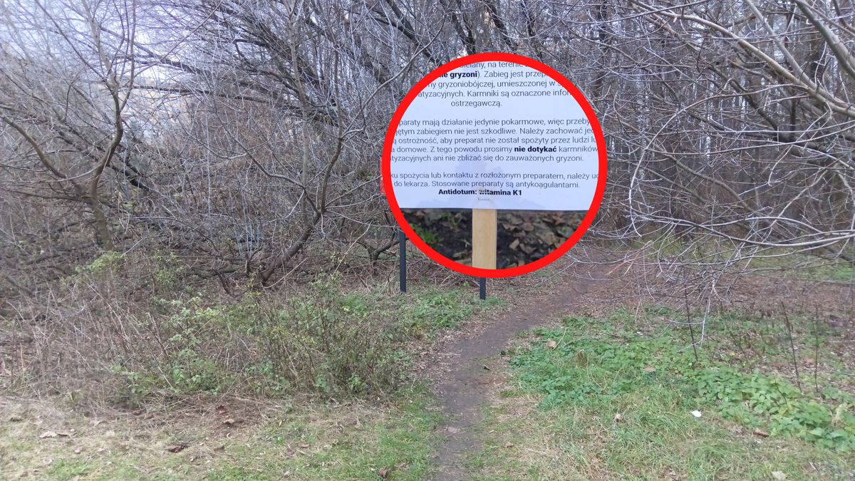 Deratyzacja w Warszawie. Ludzie zaniepokojeni.