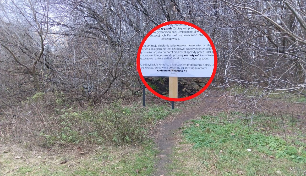 Pojawiły się w Warszawie. Ludzie pełni obaw. "73 sztuki"