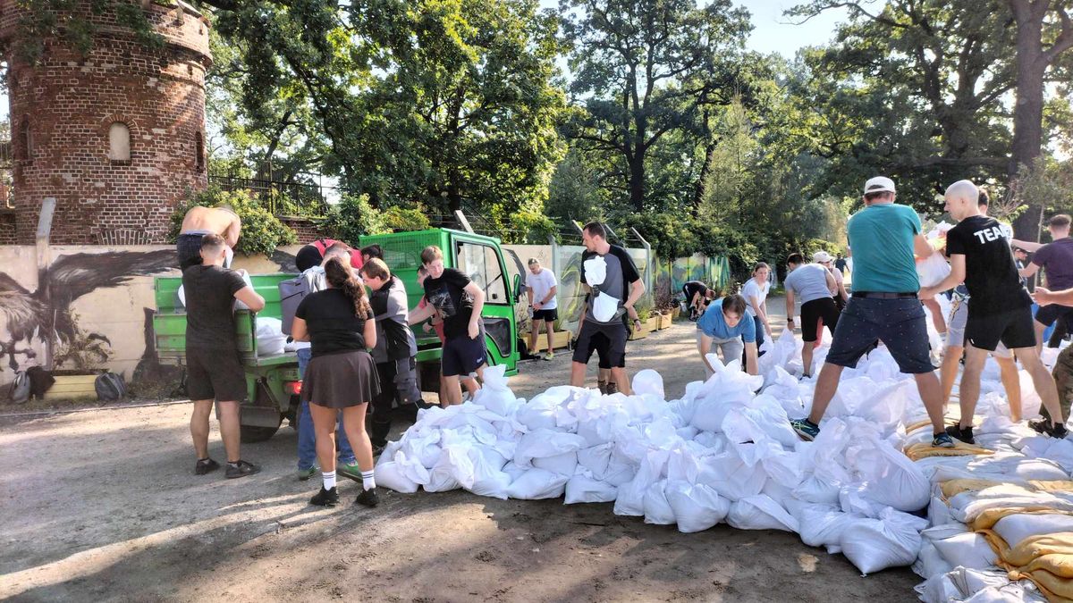 Zabezpieczanie wrocławskiego ZOO