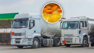 Larwy i pleśń. Nowe dane o zakazach dla towarów z zagranicy