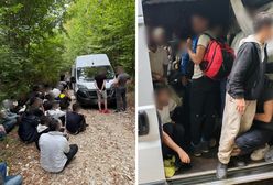 Polacy wpadli na gorącym uczynku. W busie 47 imigrantów