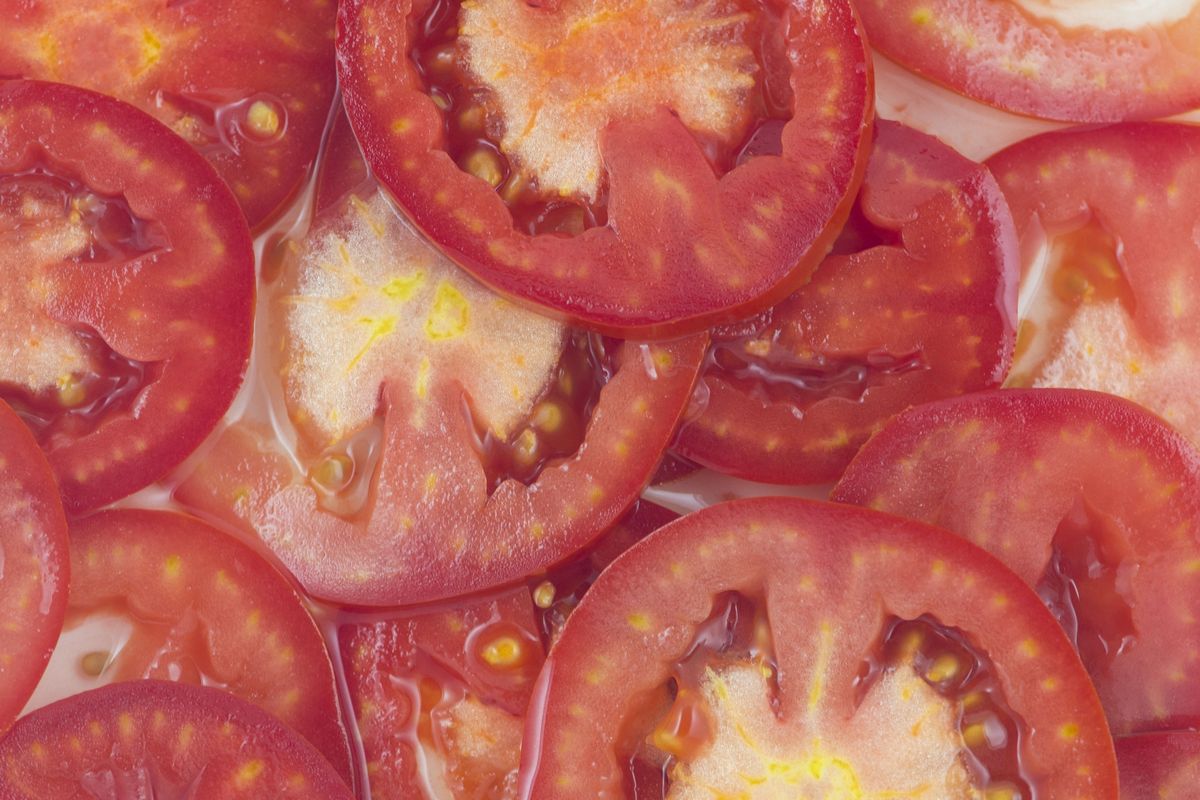 Kiełkujący pomidor nie wygląda zbyt apetycznie - a co z jego walorami zdrowotnymi?