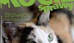 „Kocie Sprawy” po 17 latach zniknęły z rynku