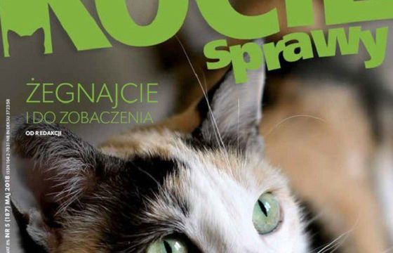 „Kocie Sprawy” po 17 latach zniknęły z rynku
