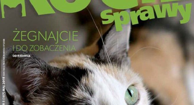 „Kocie Sprawy” po 17 latach zniknęły z rynku
