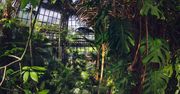 Sosnowiec: Chcesz poczuć klimat tropików? Egzotarium to idealny wybór