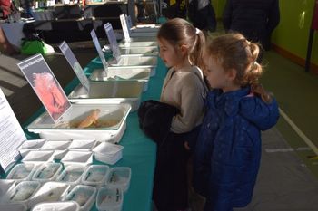 Kalisz: Targi Terrarystyczne w OSRiR. Gatunki z różnych rejonów świata