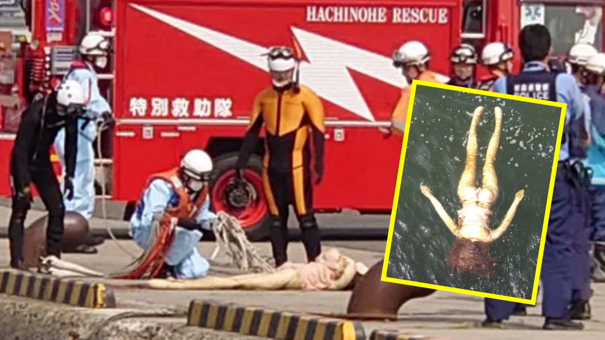 Ratownicy udzielili pomocy tonącej