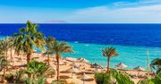 Najlepsze kurorty Egiptu. Tutaj lato nie ma końca