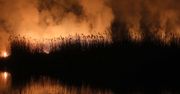 Biebrzański Park Narodowy może nie być jedyny. Mamy dużo do stracenia
