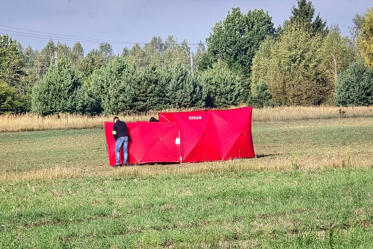 Polskie media niechcący wzmocniły dezinformację o dronach. Pożywka dla propagandy Kremla