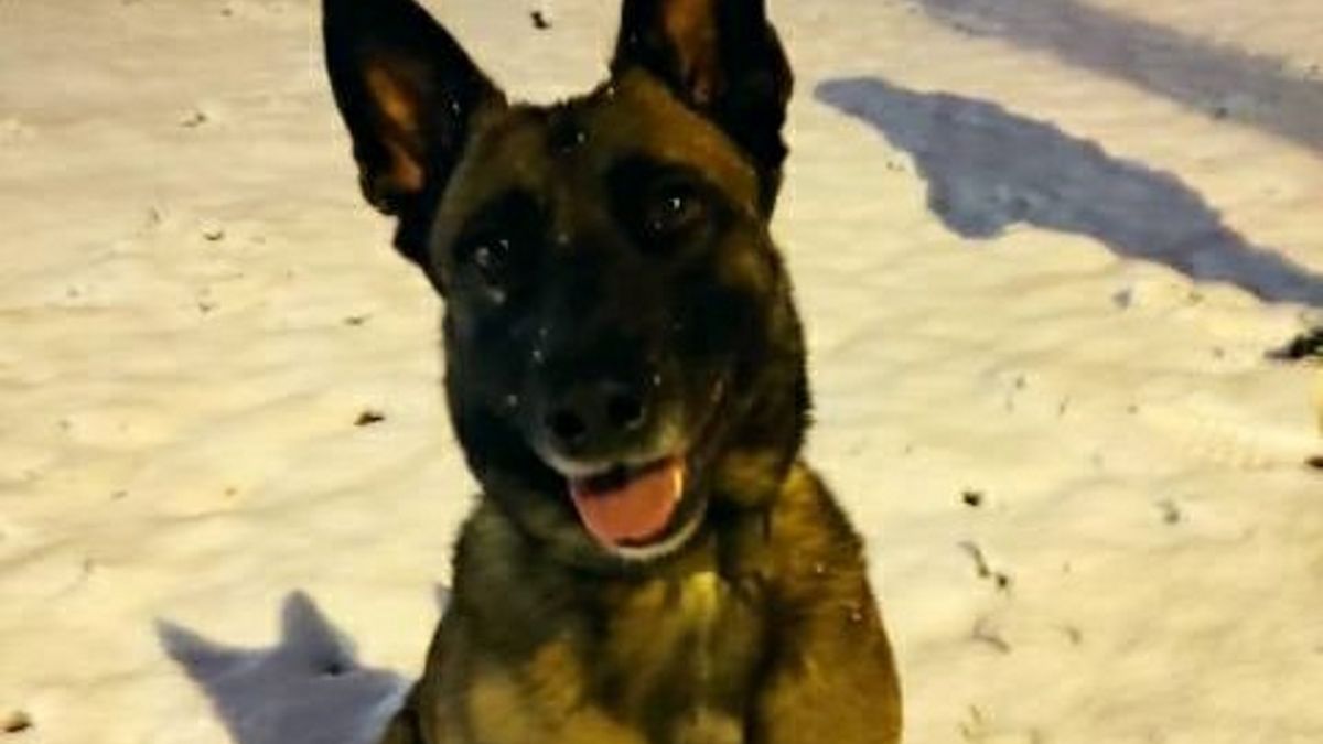 Zara uciekła 6 stycznia