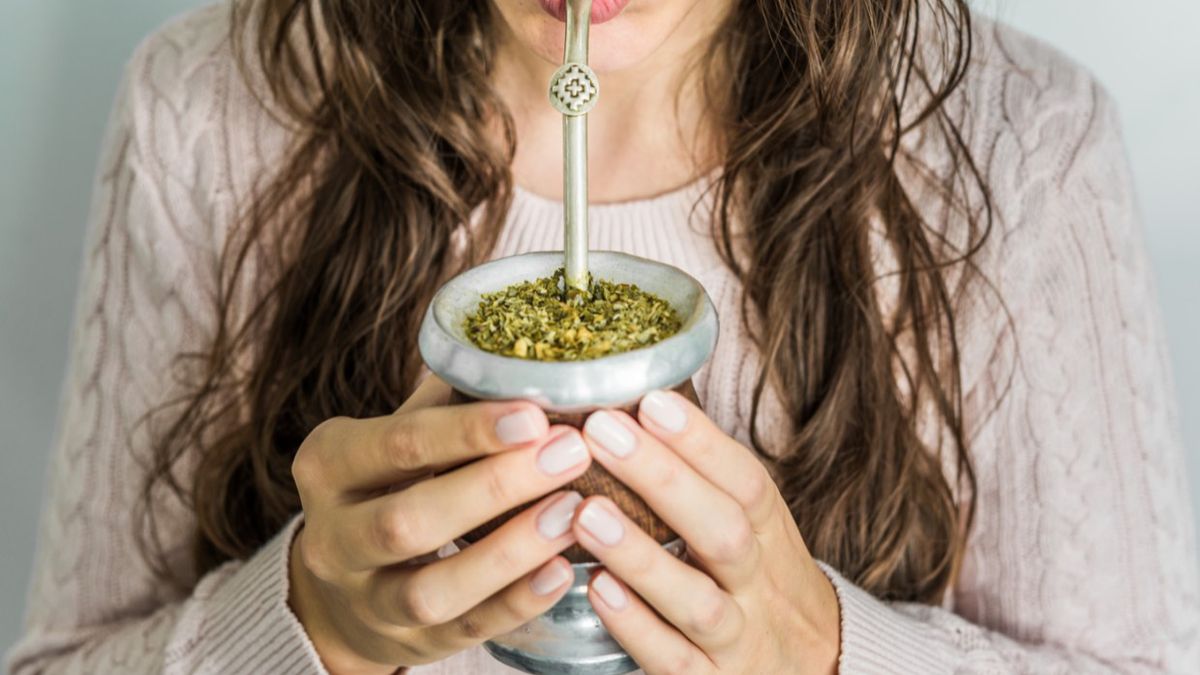 Ostrokrzew paragwajski