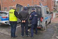 Oleśnica. Celowo przejechał psa, po czym straszył w sieci rozlewem krwi. Rafał B. już za kratkami