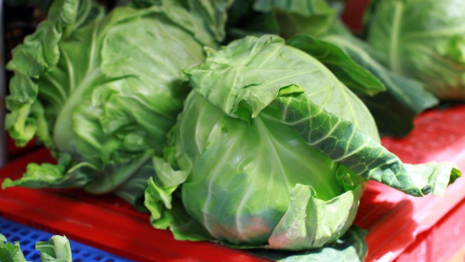 Jak wyglądał rynek importu kapusty w latach 2022-2025?