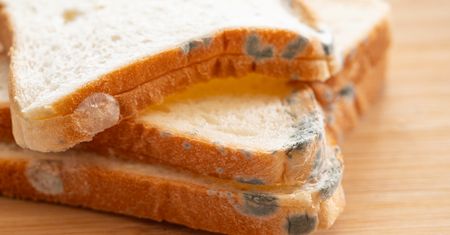 Odkrawasz pleśń z jedzenia? To może zrujnować twoje zdrowie