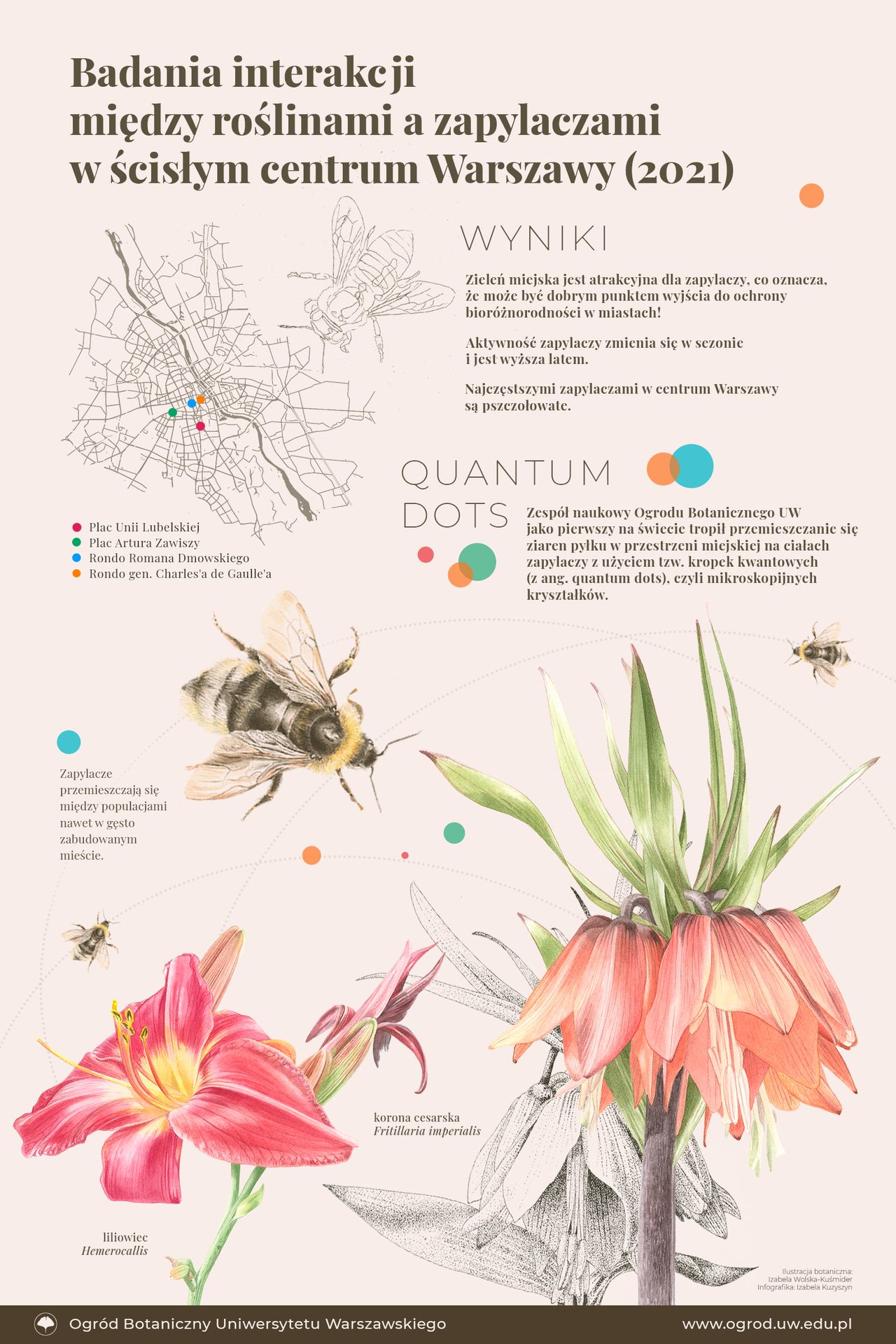 Badania naukowe zespołu naukowego Ogrodu Botanicznego Uniwersytetu Warszawskiego były prowadzone z użyciem tzw. kropek kwantowych (ang. quantum dots)  