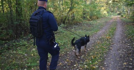 Policjanci, strażacy, leśnicy i mieszkańcy razem odnaleźli 55-latka z Gminy Nowy Duninów!