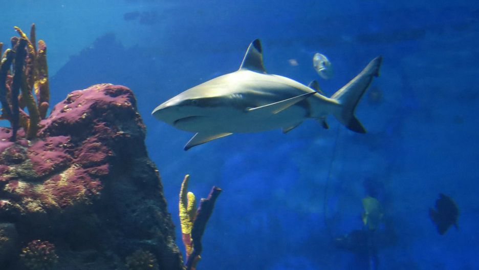 Wizyta na plaży skończyła się tragicznie dla 20-latków.